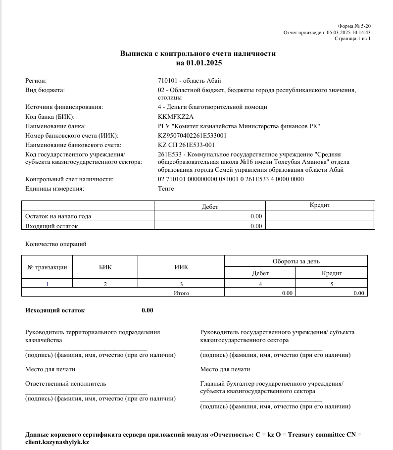 Выписка с контрольного счета наличности  на 01.01.2025